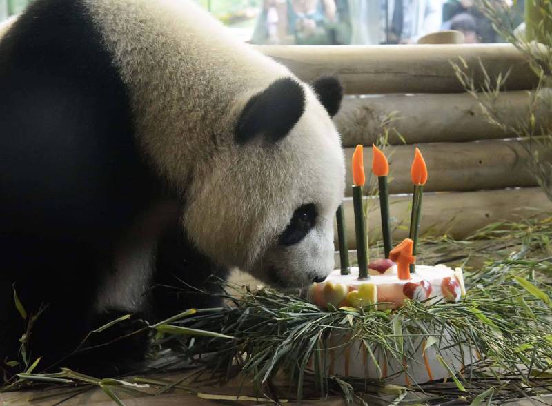 熊猫不走蛋糕充值499划算吗- 了解熊猫不走蛋糕充值的价值
